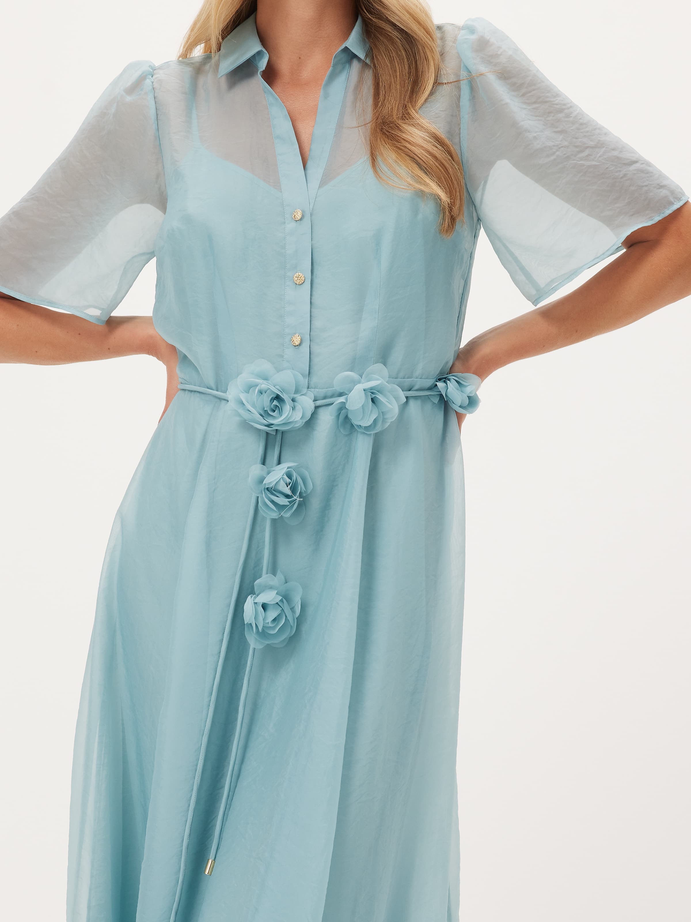 Celeste Sheer Short Sleeve Dress