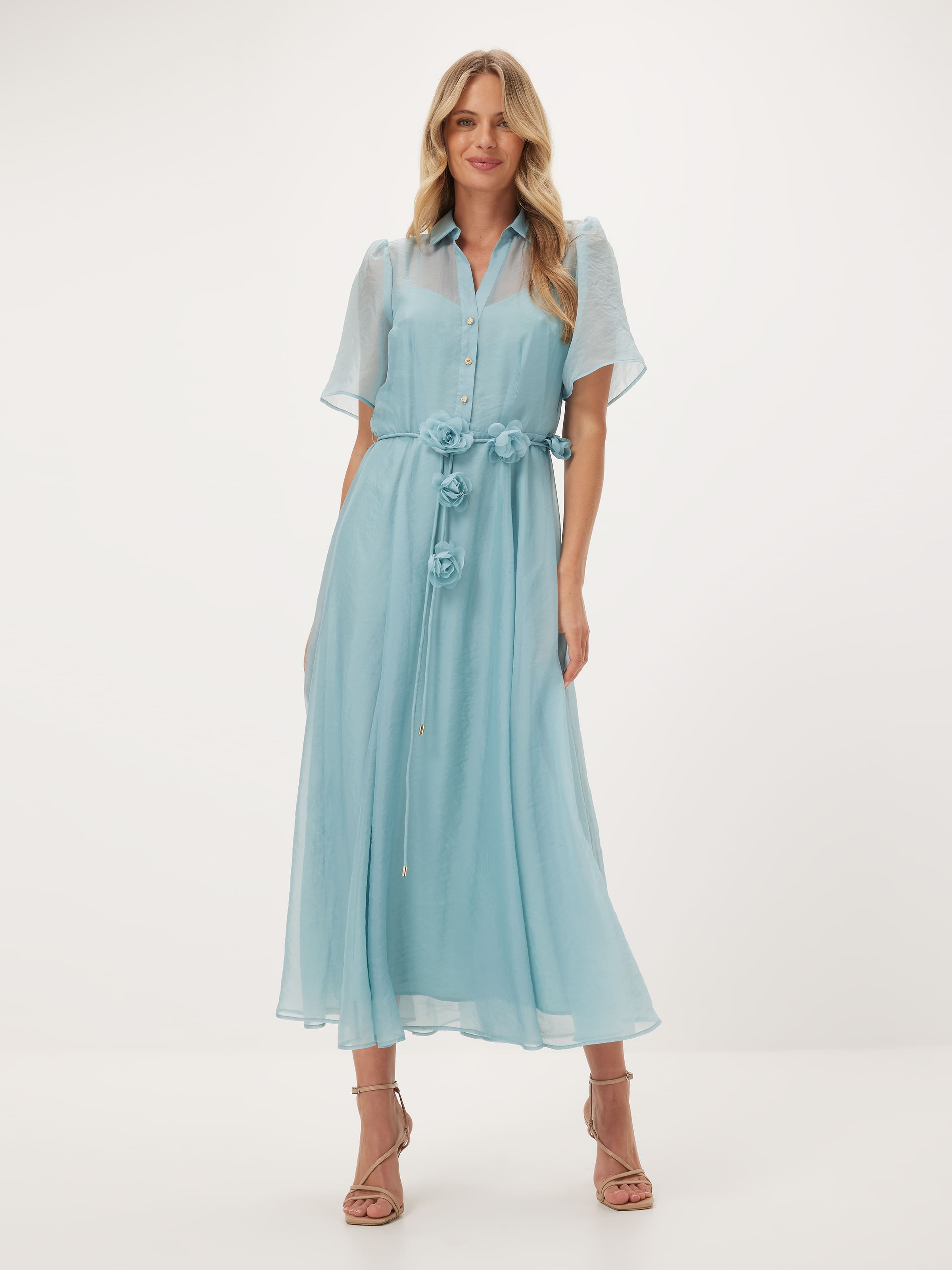 Celeste Sheer Short Sleeve Dress