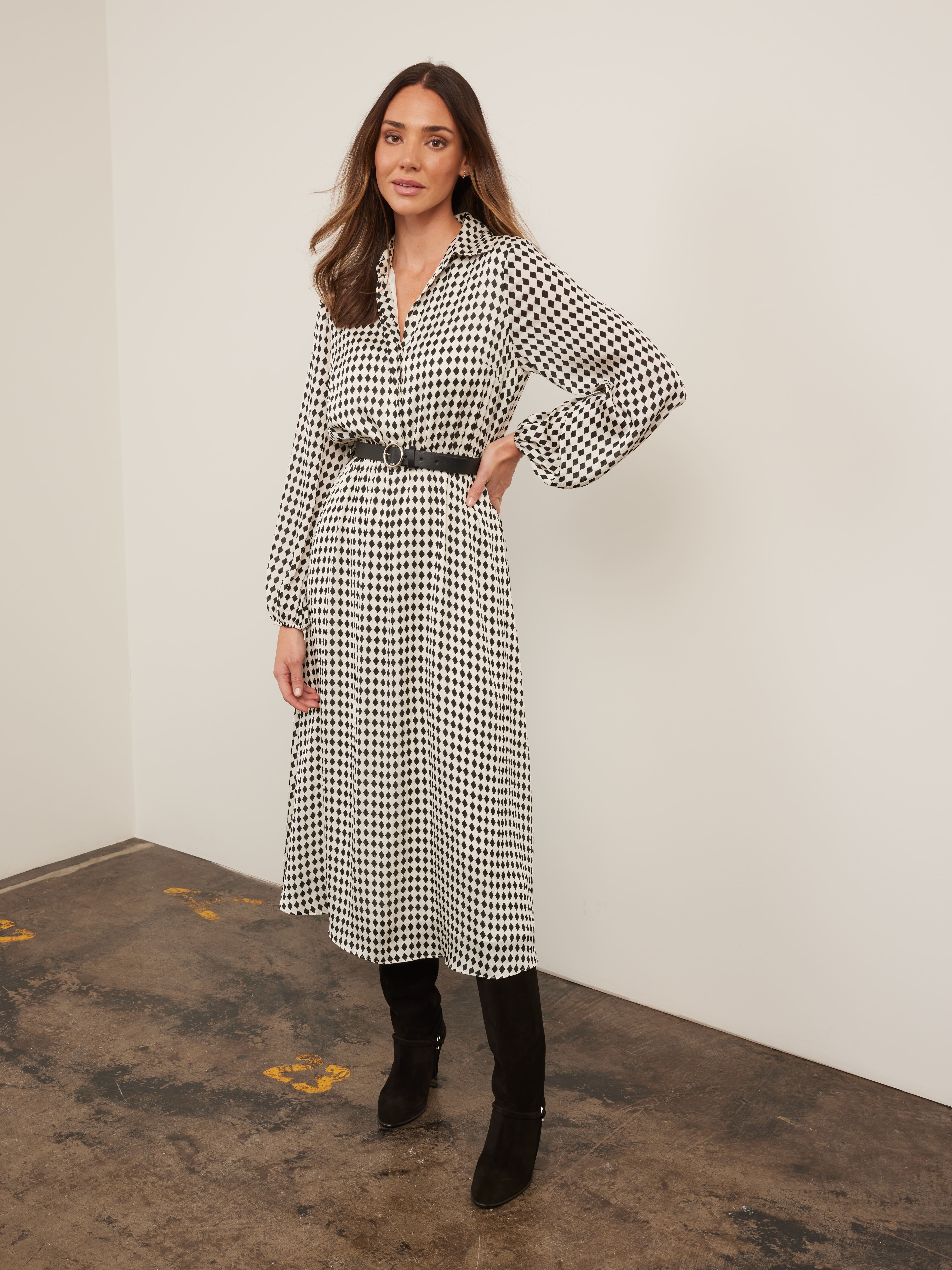 Alexa Collared Midi Dress                                                                                                       