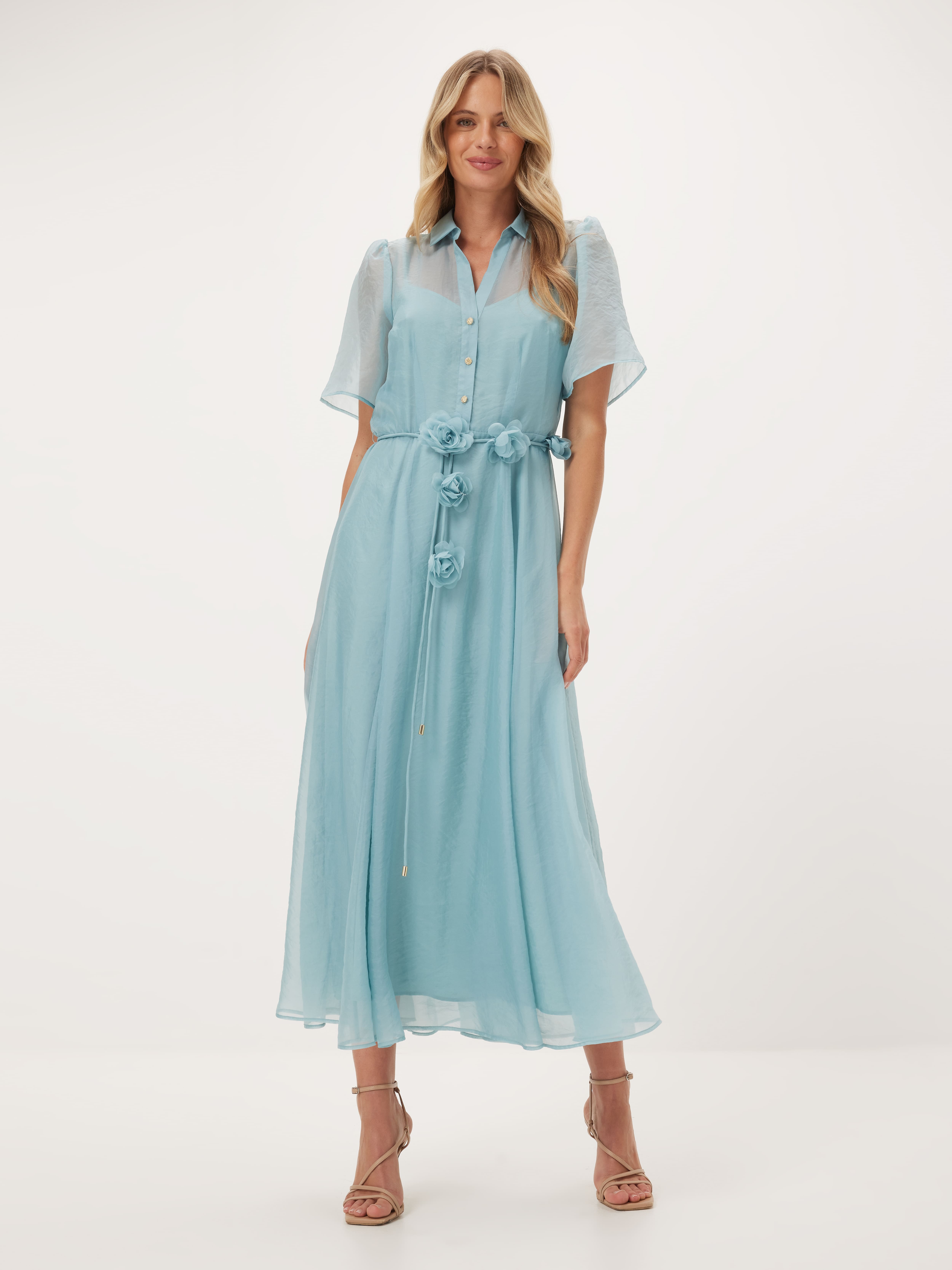 Celeste Sheer Short Sleeve Dress                                                                                                