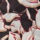 Floral Swirl