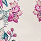 Sakura Blossom