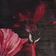 Botanical Blooms