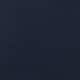 Russian Navy